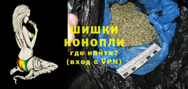 дживик Надым