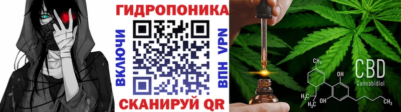 Шишки марихуана семена  купить  цена  Колпашево 